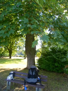 Il mio più fedele compagno di viaggio