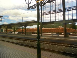 Le attese in stazione hanno sempre qualcosa di magico