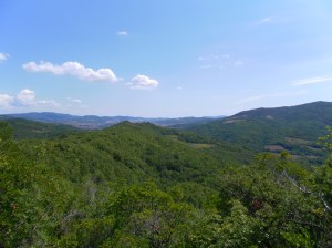 Un po' della vista che si gode da lassù...